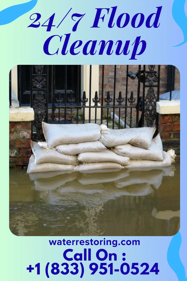 24/7 Flood Cleanup in Lasana, TX