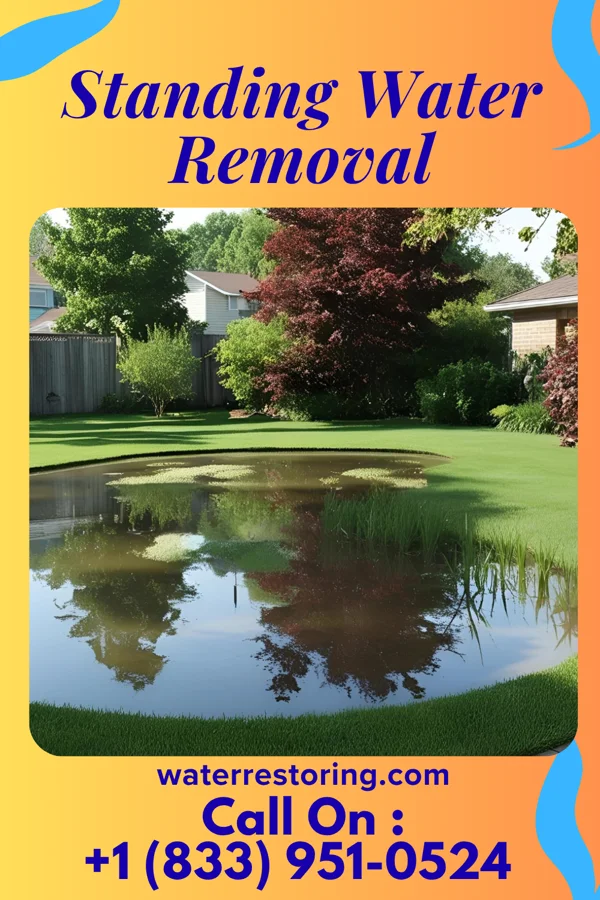Standing Water Removal in Lasana, TX